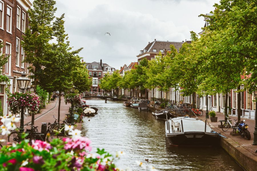 Cursuslocatie De reis van je derde levensfase